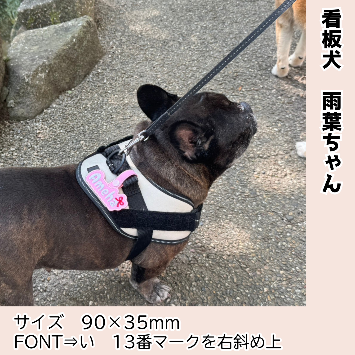 犬 ハーネス 猫 子供 名入れ ネームタグ 刺繍 オーダーメイド 保育園