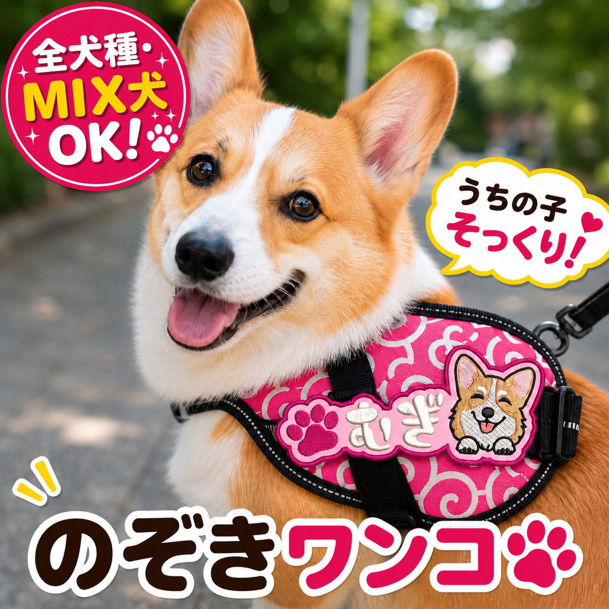 ♡押花♡かわいい犬♡ ユリウスK9 対応 ワッペン 名入れ 犬 ネームタグ 刺繍 迷子札 ハーネス