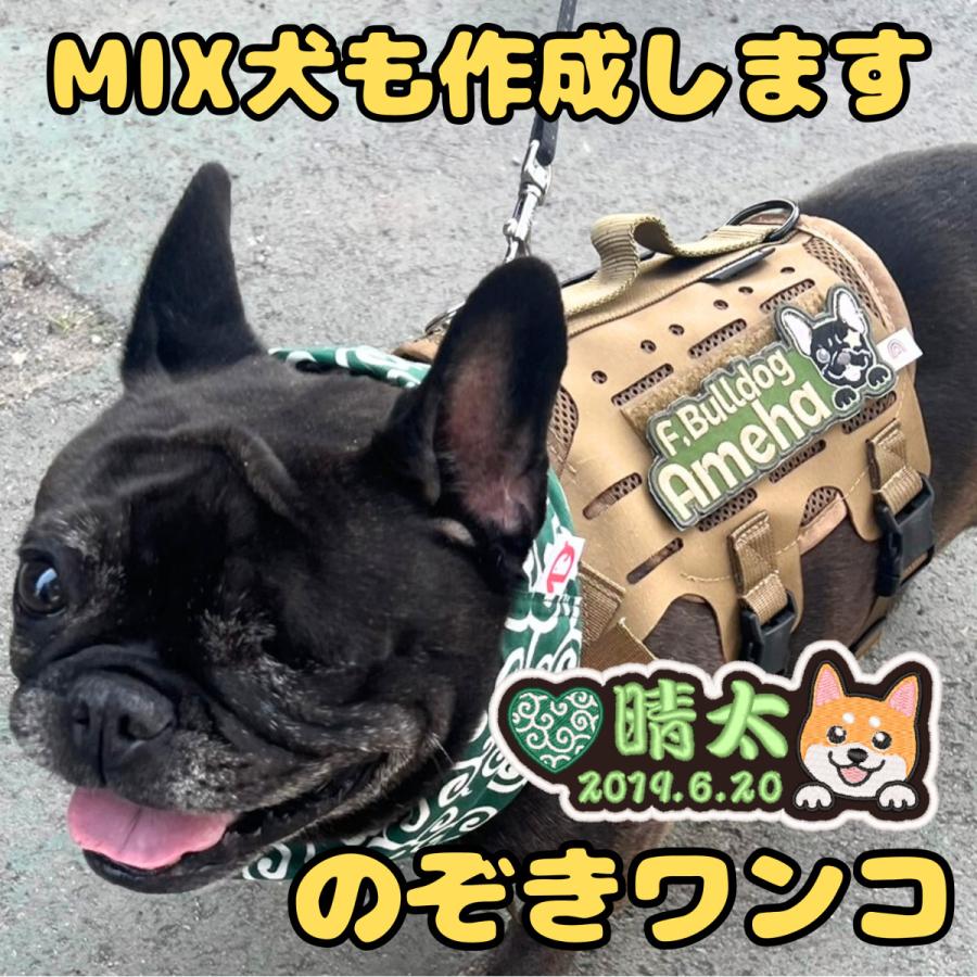 犬 ハーネス ユリウスk9 ネームタグ 名前入り ワッペン 刺繍