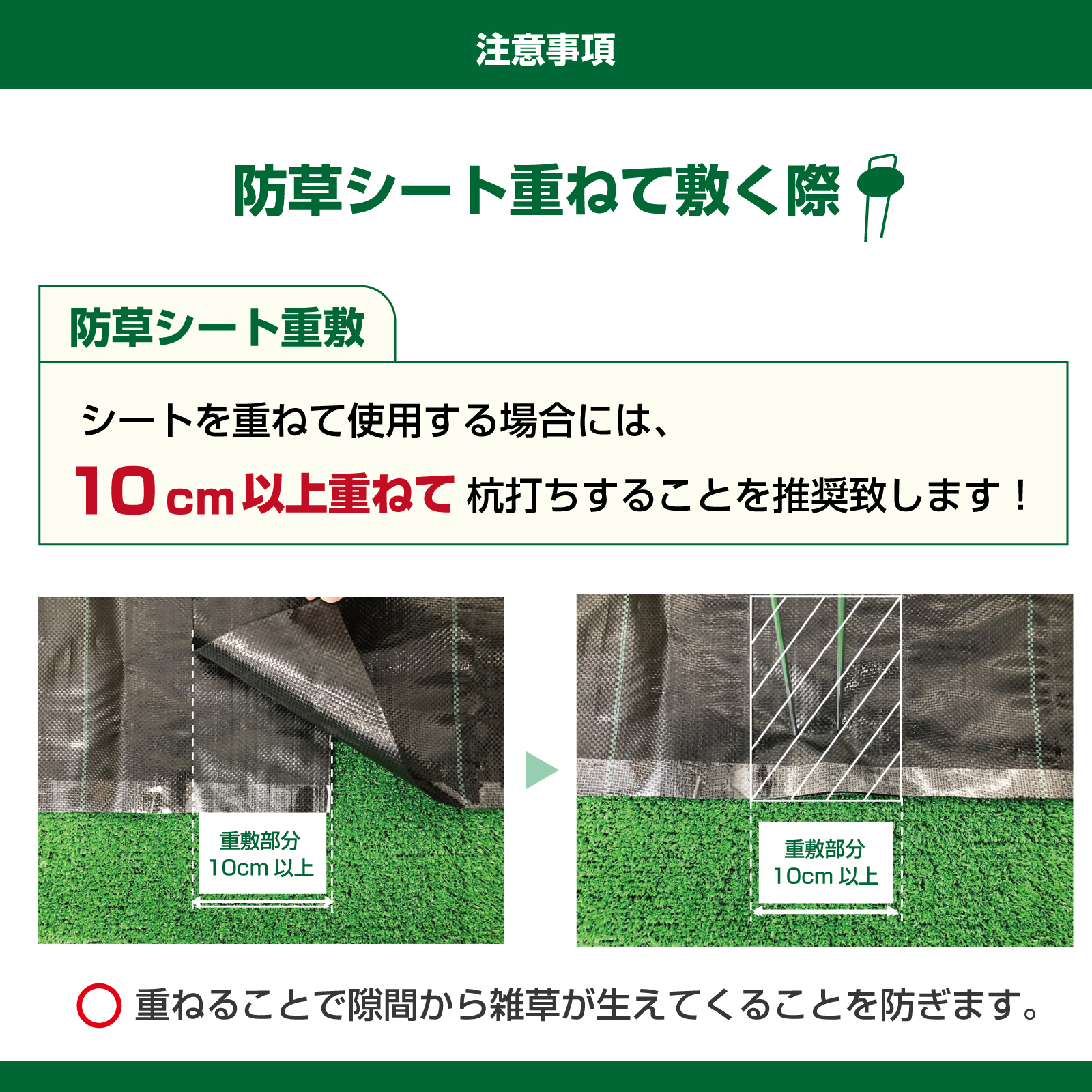 防草シート 不織布 1m×50m 不織布防草シート 農用シート ガーデニング