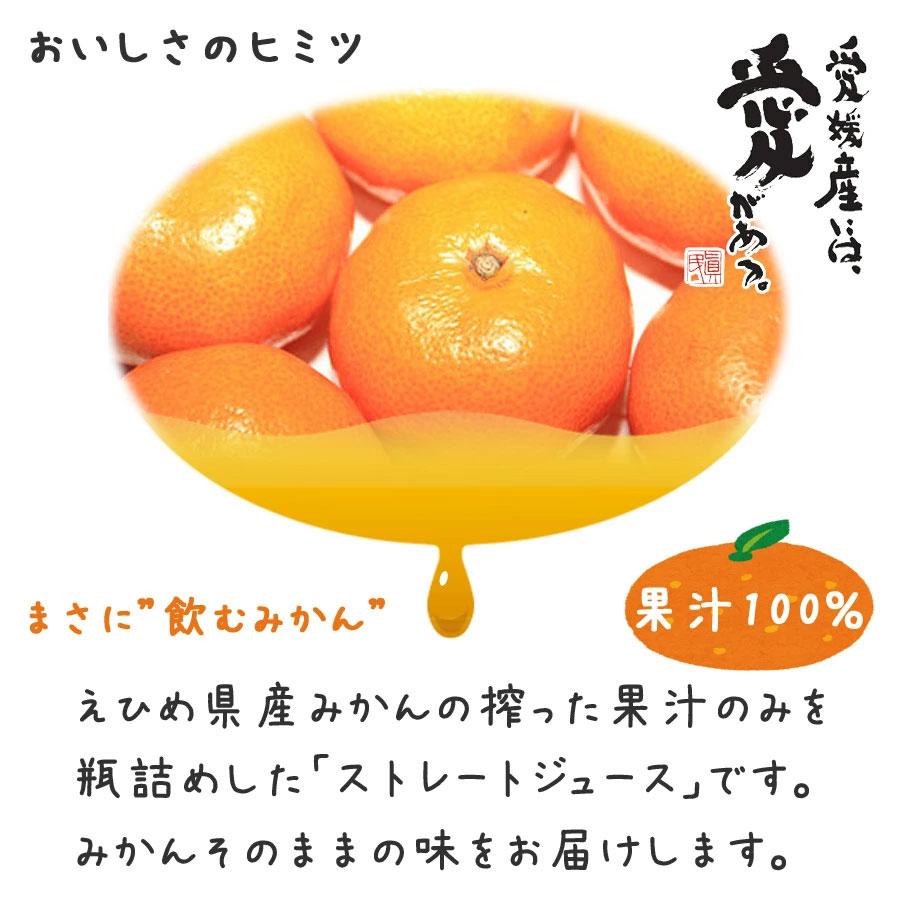 みかんジュース 500ml瓶×12本入 伯方果汁 愛媛 ストレート 無添加 瓶