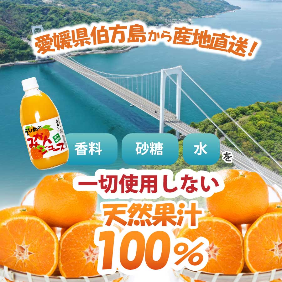 みかんジュース 500ml瓶×12本入 伯方果汁 愛媛 ストレート 無添加 瓶