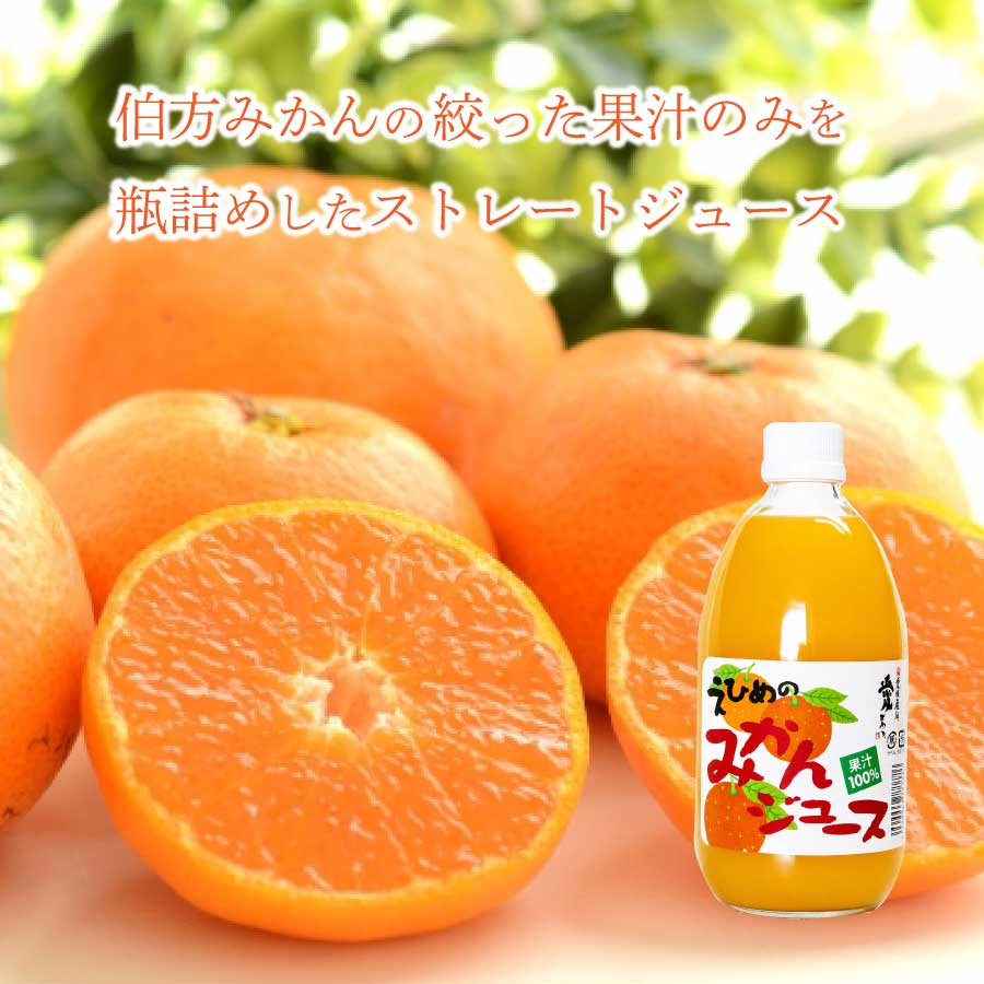 みかんジュース 500ml瓶×12本入 伯方果汁 愛媛 ストレート 無添加 瓶