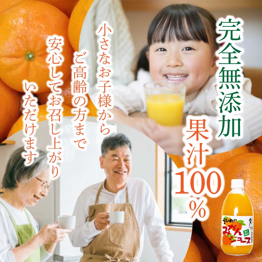 【Pё】 500ml詰め合わせジュース12本＊２箱　【２箱縛りでの発送】 みかんジュース 500ml瓶×12本入 伯方果汁 愛媛 ストレート 無添加 瓶