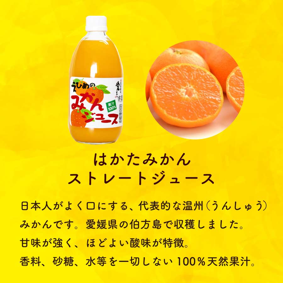 みかんジュース 500ml瓶×12本入 伯方果汁 愛媛 ストレート 無添加 瓶