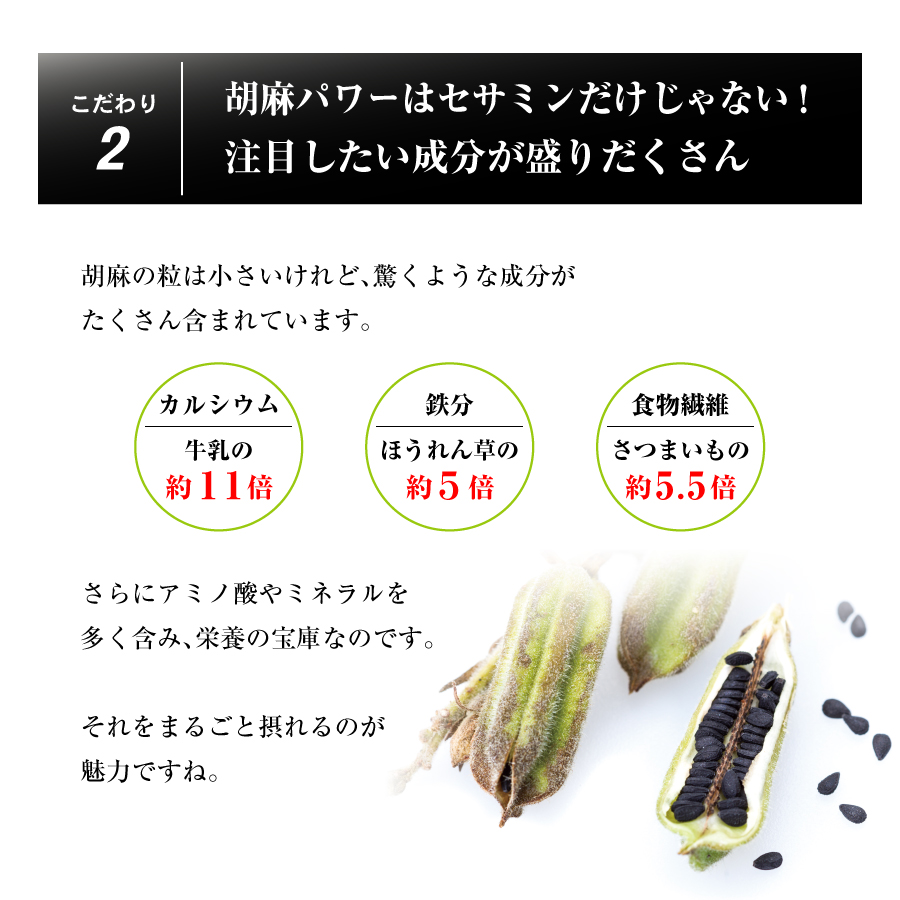 胡麻板 胡麻せんべい セサミン約7倍！リグナンリッチ黒ごま使用 自然共生 バランス栄養 栄養調整食品 ポイント消化 :0358:自然共生 - 通販 -  Yahoo!ショッピング