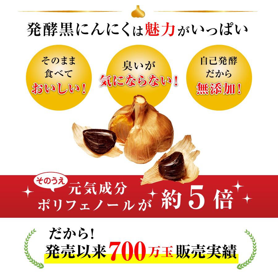 発酵黒にんにく バラ 40g 初回限定 自然共生 ガリプロ 青森県産 ポイント消化 :4101:自然共生 - 通販 - Yahoo!ショッピング