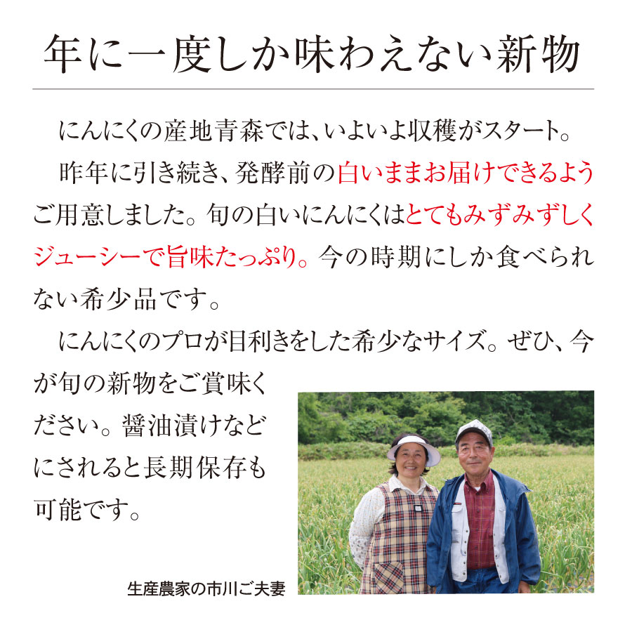 青森県産にんにく2Lサイズ 1kg 10玉前後 自然共生 ガリプロ 食品 野菜