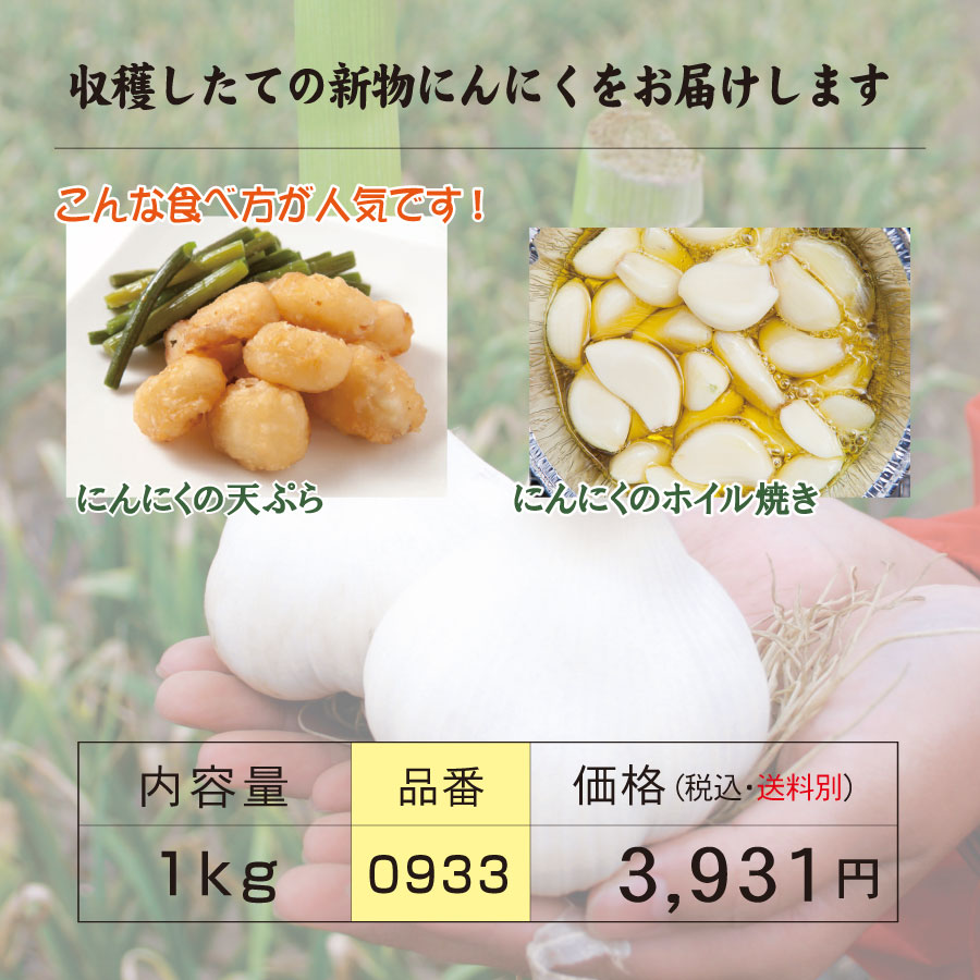 青森県産にんにく2Lサイズ 1kg 10玉前後 自然共生 ガリプロ 食品