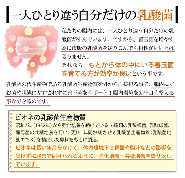 自分だけの乳酸菌を育てる