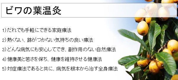 殿堂ビワ葉温灸用 太棒もぐさ（16本入） 三栄商会 お灸 | wegcambodia.com