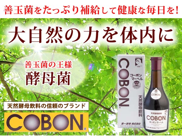 コーボンマーベル（525ml） 3本セット 第一酵母 選べるプレゼント付