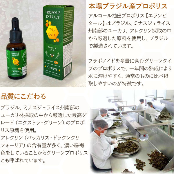 【ラスト1】MN プロポリス エキス 30mL 3本セット エランビタールプロポリスエキス（30ml） 3本セット ヴェラクルス
