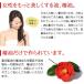 国産ヤブ椿100%使用 椿油(900ml)ビン 冨永製油 数量限定 関連画像4