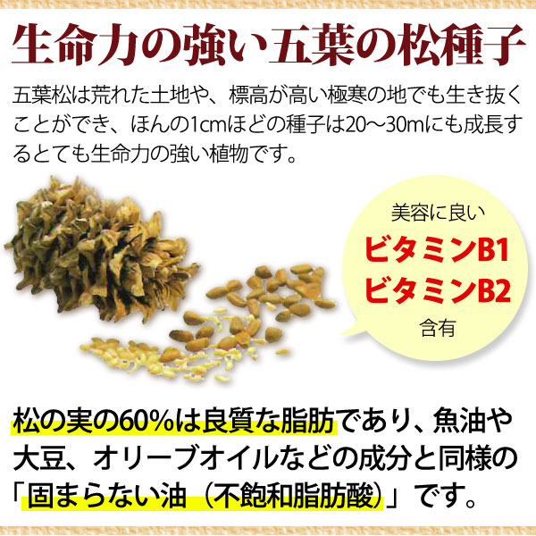 五葉松種子 五葉の松SPNブラック（33.3g（90粒）） 日本三晶製薬