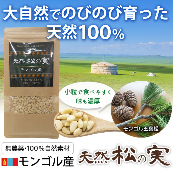 モンゴル産 天然松の実（100g） 日本三晶製薬 在庫限りの説明 - 通販