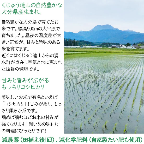 くじゅう連山で育ったお米
