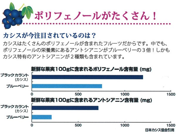 醗酵カシスはポリフェノールがたくさん！