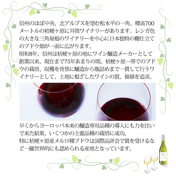 いづつワイン コンコード赤・甘口（720ml） 井筒ワイン｜shizenkan｜03
