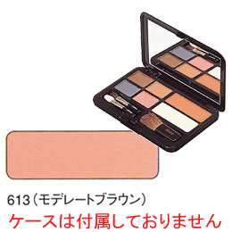 エルエリートチークカラー 613（モデレートブラウン） ジュポン化粧品本舗