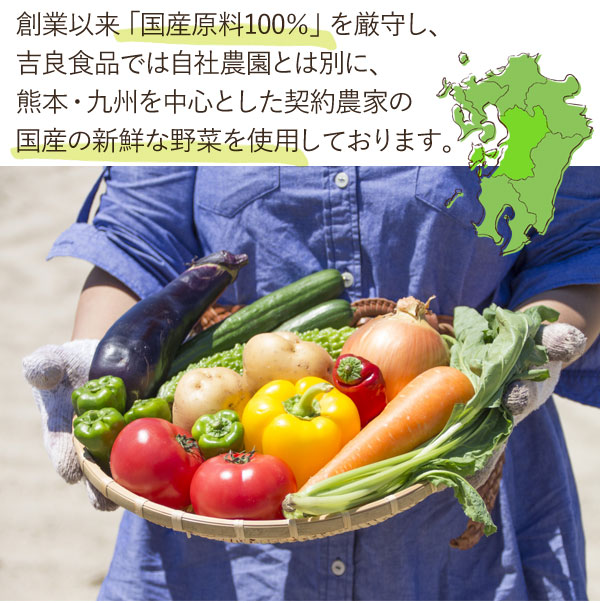 国産乾燥野菜 白菜みそ汁の具（白菜、人参、小松菜、たまねぎ）（40g） 吉良食品｜shizenkan｜04