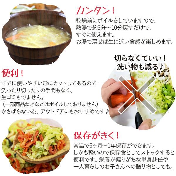 乾燥野菜 九州産大根葉（40g） 吉良食品｜shizenkan｜04
