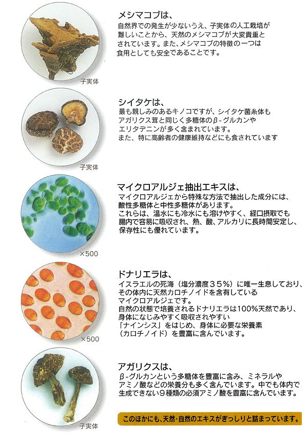 クロスタニン健康100歳（50ml×10本） 日健総本社 クロレラエキス高濃度 