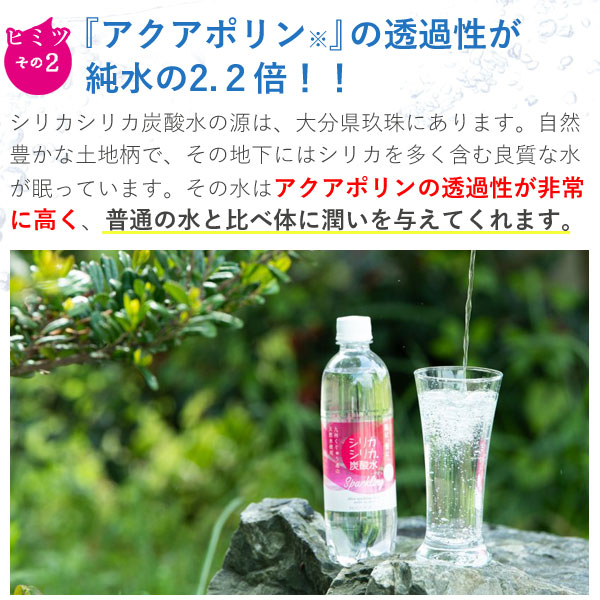 シリカシリカ スパークリング シリカ含有強炭酸水（500ml） 12本セット チョイスジャパン :kmr9115-12:PURE・HEART 自然館  - 通販 - Yahoo!ショッピング