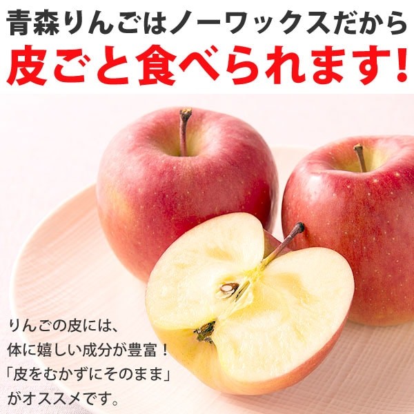 紅玉りんご 訳あり 10kg 加工用 青森県産 黒ほし 擦り傷 枝傷