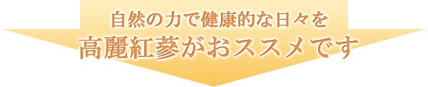 高麗紅蔘がオススメです