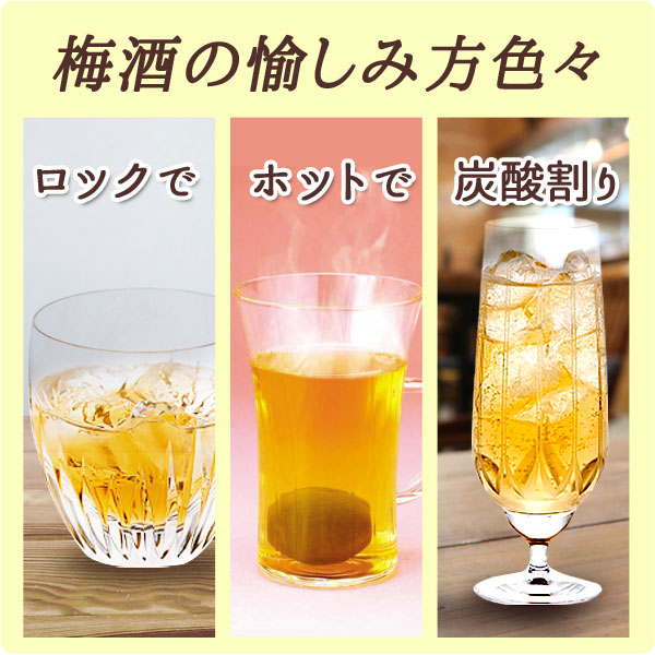 本格梅酒 チョーヤ梅酒 The CHOYA 大地の梅（700ml）ビン チョーヤ梅酒｜shizenkan｜09