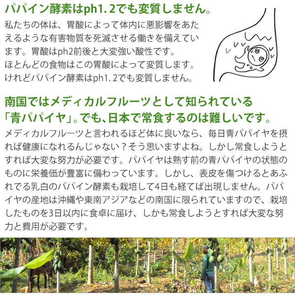 バイオノーマライザー 青パパイヤ発酵食品（3g×30包） 三旺インターナショナル｜shizenkan｜09