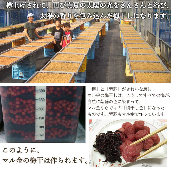 大分県産 黒川金右衛門 七折小梅（120g） マル金ファーム 数量