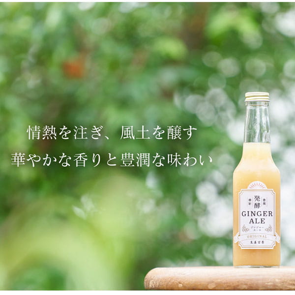 ジンジャー 生姜百景 発酵ジンジャーエール ORIGINAL（250ml）ビン 後藤製菓 夏季