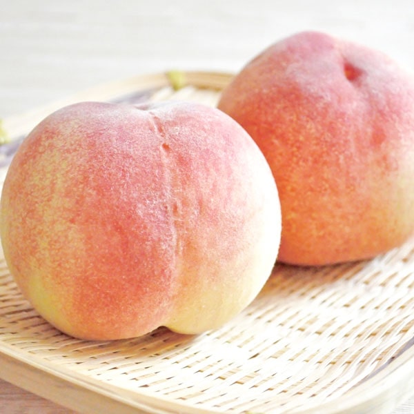 �a�̎R���Y �c������̓��i��3.8kg�i10�`15�ʁj�j �O���[���W�����N�V���� �����ɂ�����E�����s�� ���\�[�Ă̌��I�M�t�g