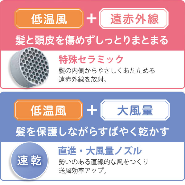 （海水魚）レッドスポッテッドピグミーゴビー（１匹）　北海道・九州航空便要保温