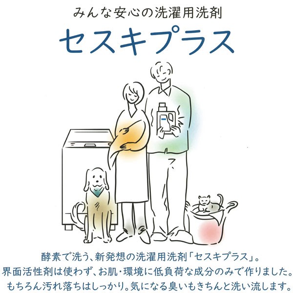 セスキプラス（洗濯用洗剤）無香料（詰替用）（1000g） 石けん百貨
