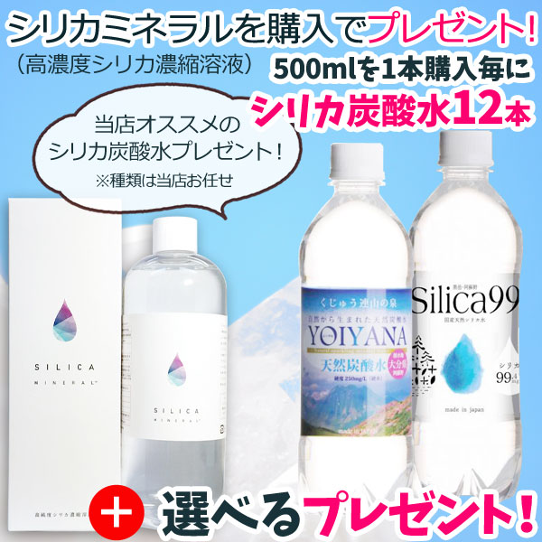 水溶性珪素 シリカミネラル（500ml） グッドフェイス シリカ炭酸水12本さらに選べるプレゼント｜shizenkan｜02