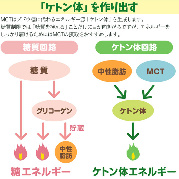 MCTオイルの特徴