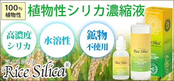 ミルクティー サンスター 緑でサラナ 30本 2ケース 緑でサラナ（160g×30缶） 2ケースセット サンスター : PURE