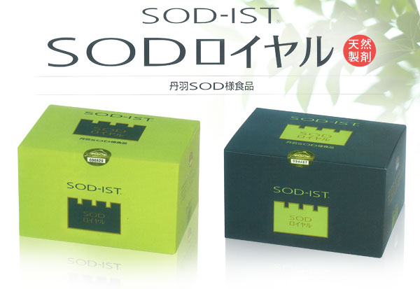 SOD-IST丹羽SODロイヤル レギュラータイプ （3g×120包） 丹羽