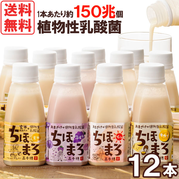 あまざけ＋乳酸菌『ちほまろ』（150g） 選べる12本セット 高千穂ムラたび