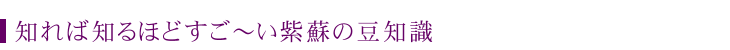 知れば知るほどすご～い紫蘇の豆知識