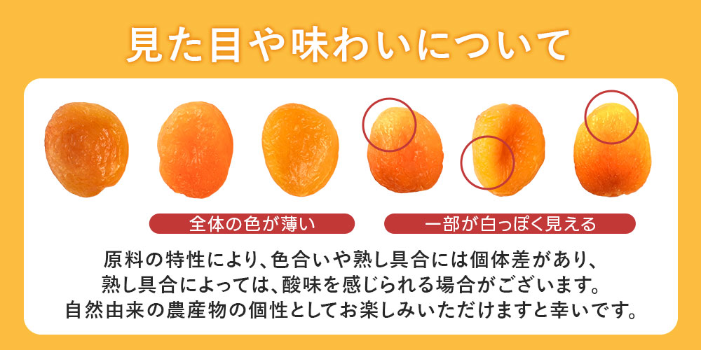美味しさは元気の源 自然の館 ドライフルーツ ドライアプリコット 砂糖