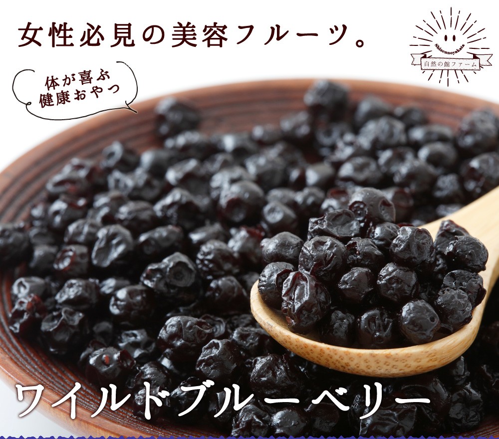 ワイルドブルーベリー 250g 送料無料 アメリカ産 ドライフルーツ チャック付き ポリフェノール豊富 菓子材料 お試し 自然の館 非常食 ゲリラ Wildblueberry 美味しさは元気の源 自然の館 通販 Yahoo ショッピング