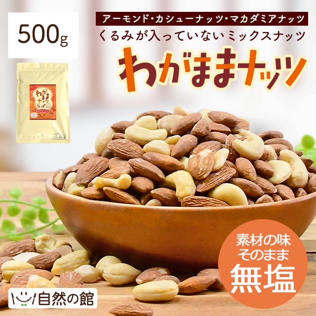 期間限定の激安セール 共立食品 素焼きミックスナッツ 500g 無塩 無油