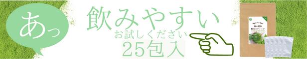 スティック 25