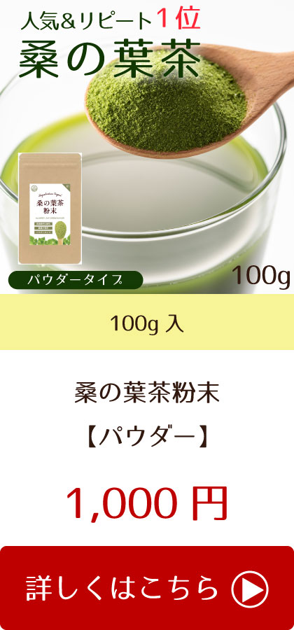 いいスタイル 国産 桑の葉茶 粉末100g ２袋セット
