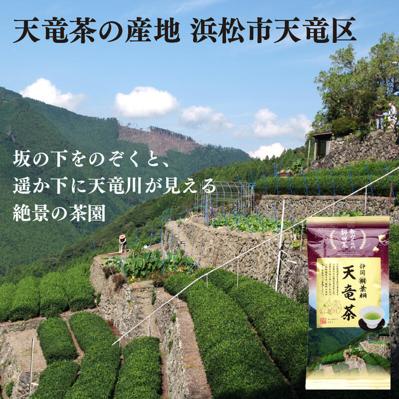 葉桐 お茶 静岡茶 飲み比べセット 静岡県銘茶産地セット 浅蒸し