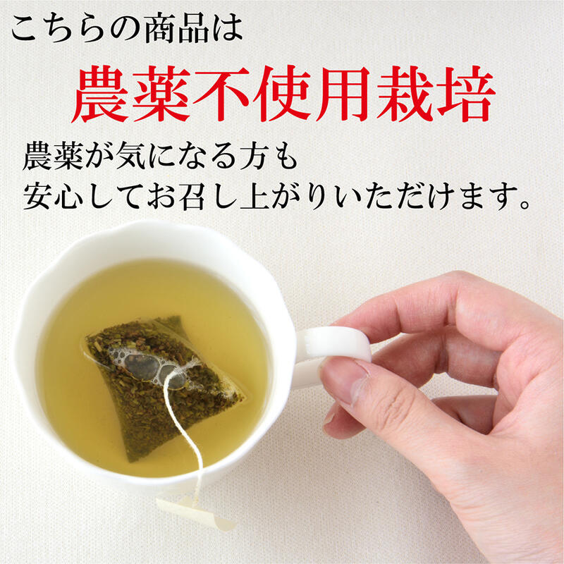 ギャバ茶 お茶 緑茶 農薬不使用栽培 GABA茶 ティーバッグ 3g×20個 ギャバロン茶 ギャバ茶 健康茶 γアミノ酪酸 ストレス 血圧 睡眠｜shizuokahagiricha｜13